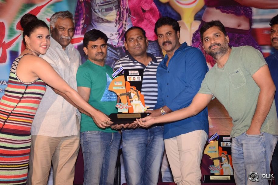 Jakkanna-Movie-Platinum-Disc-Function